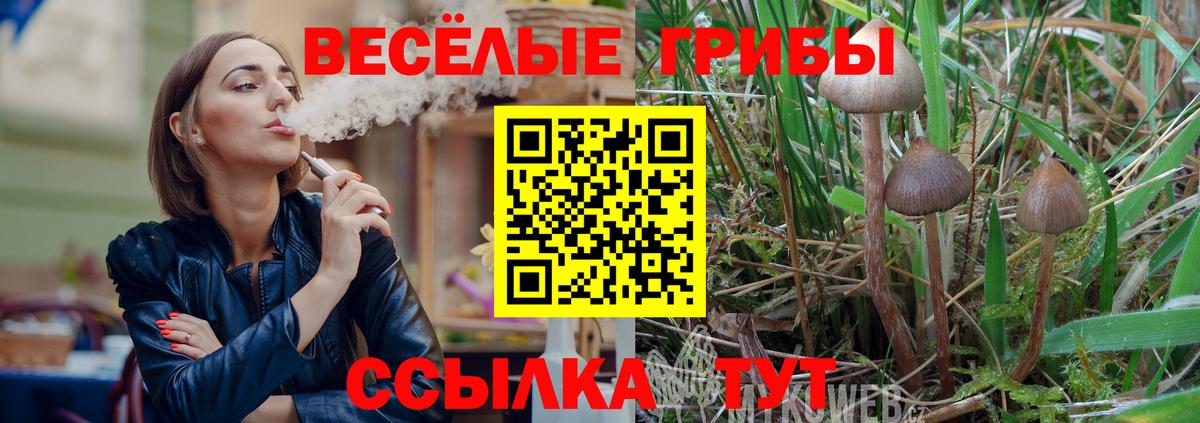 Псилоцибиновые грибы Magic Shrooms Ставрополь