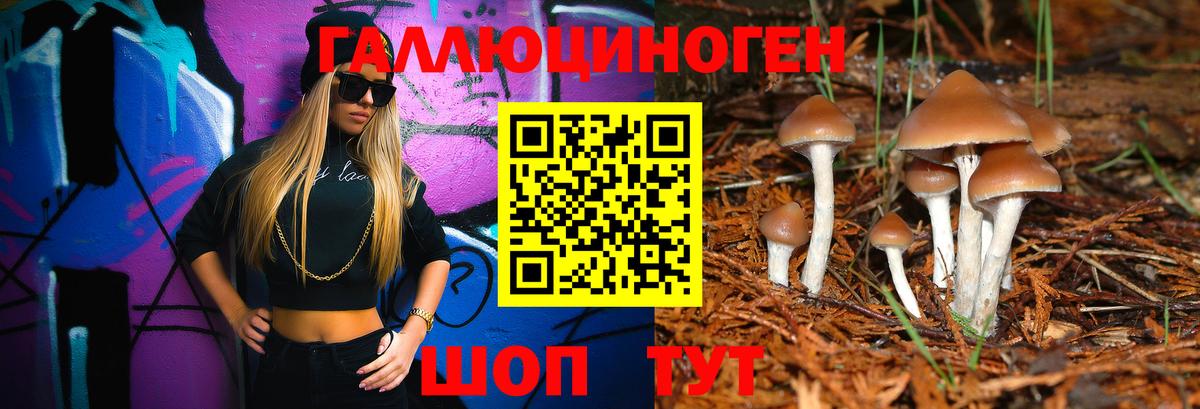 Псилоцибиновые грибы Psilocybe  Вход с VPN  Ставрополь  Галлюциногенные грибы прущие грибы 